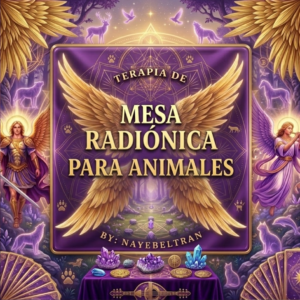 Imagen Mesa Radionica para Animales