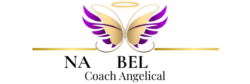 Nayebeltran NLogo 17